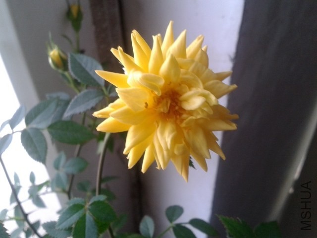 20140423_102947.jpg