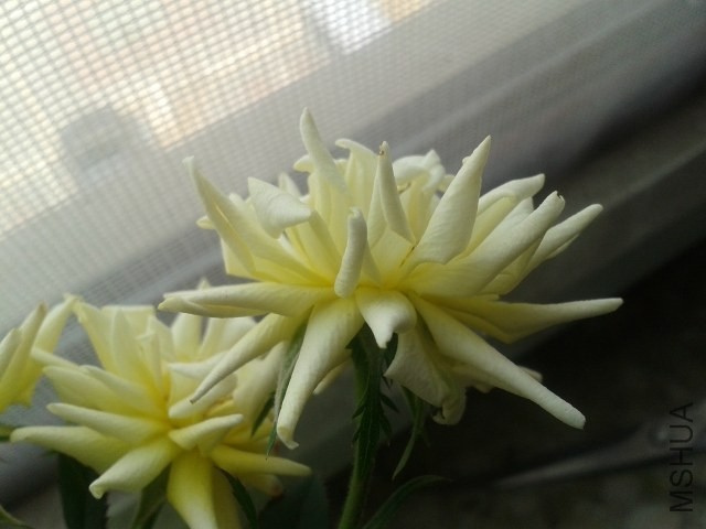 20140423_103027.jpg