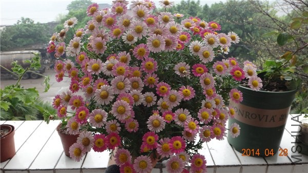 �岥һ���ǹ���