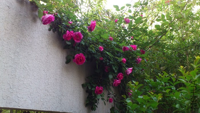2014-04-28_07-36-16_473246_org.jpg