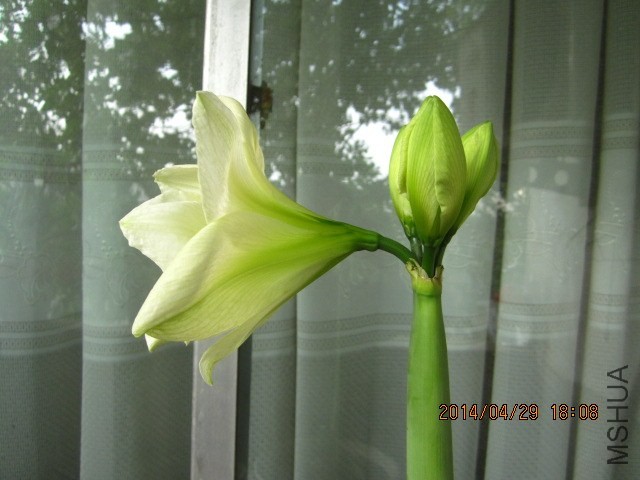 IMG_1754.JPG