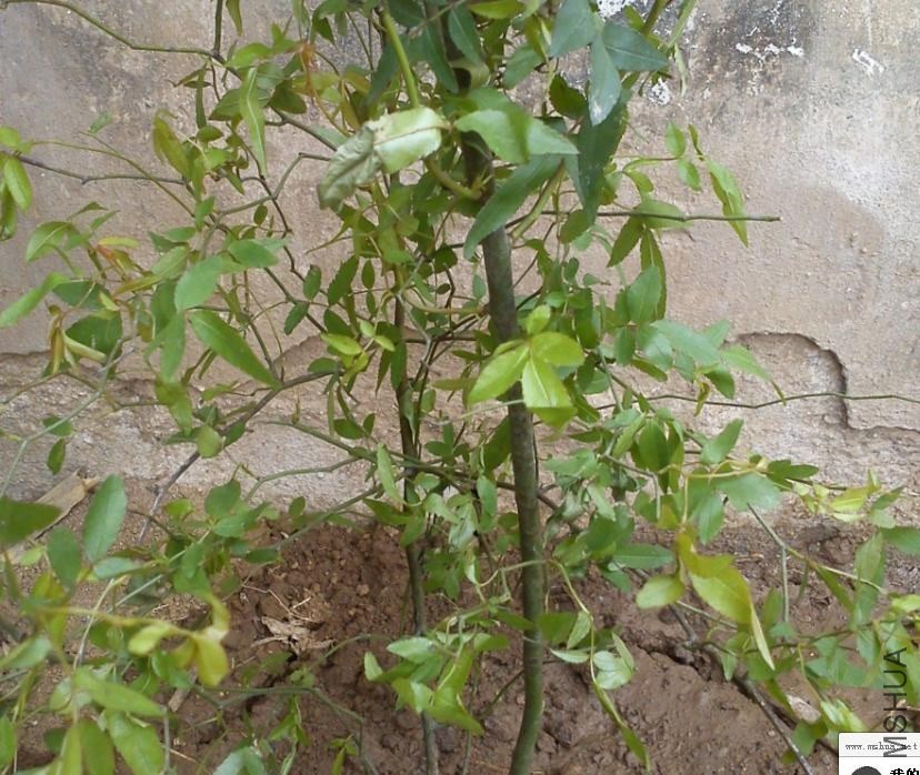QQ��ͼ20140429192511.JPG