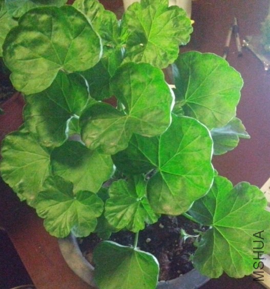 ������60��