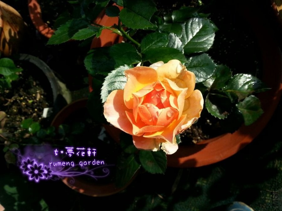 QQͼƬ20140429164802.jpg