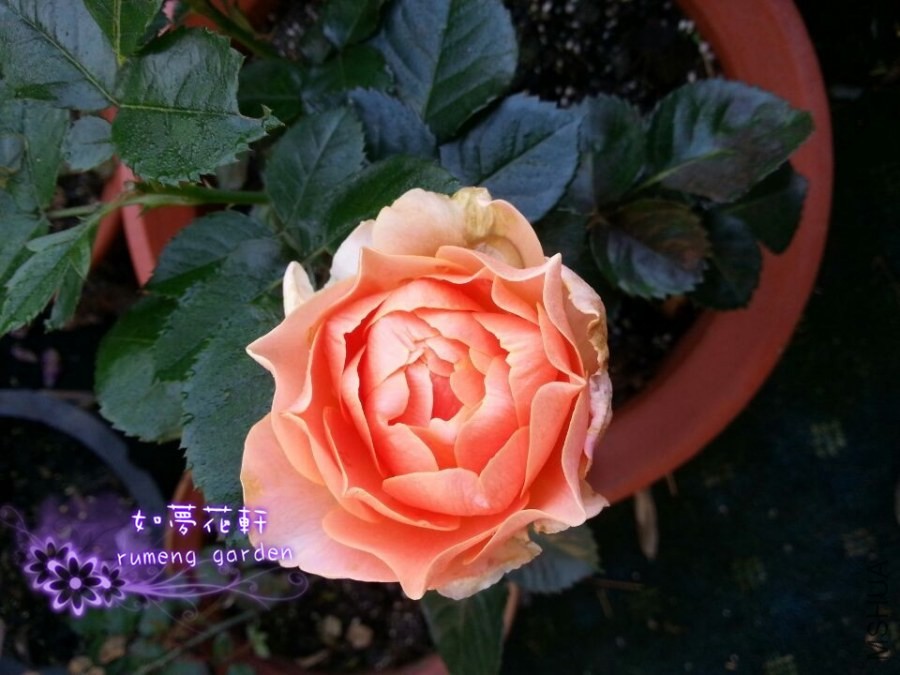 QQͼƬ20140430080010.jpg