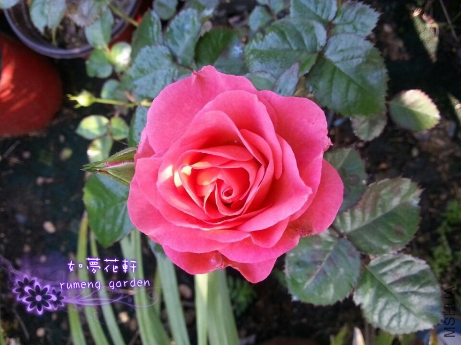 QQͼƬ20140430075927.jpg