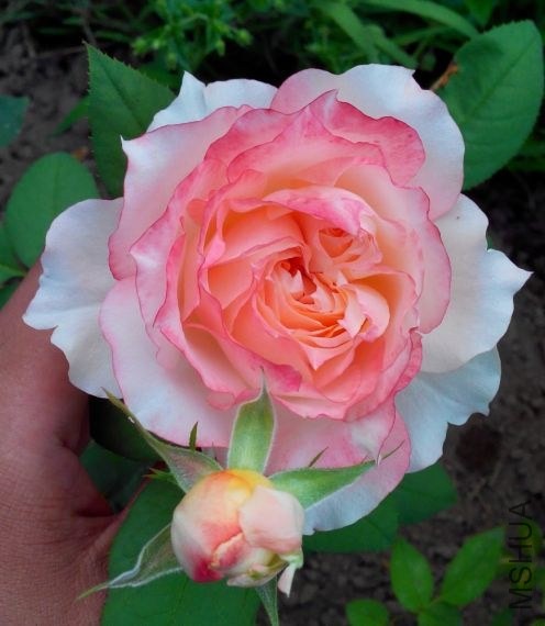 9AE}E`W[DXUO2%@8YJ9L5~S.jpg