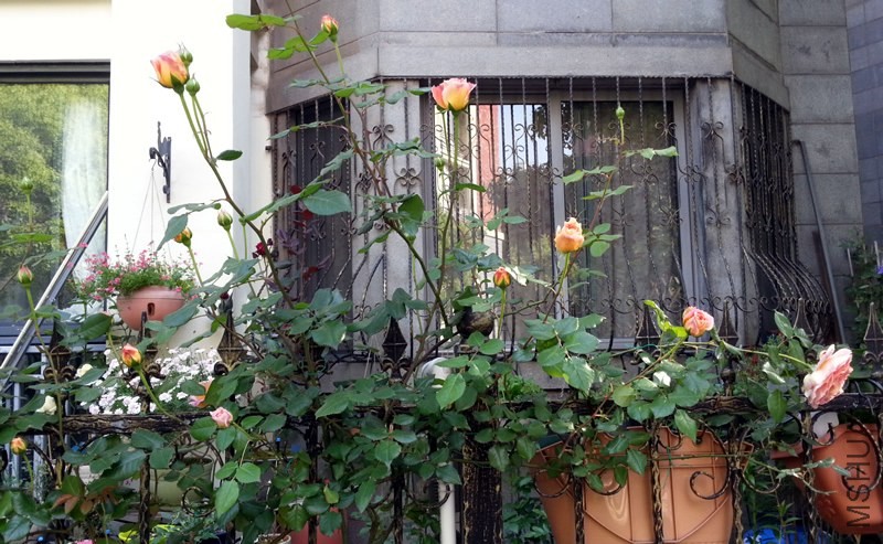 �ǲ�����20140430G.jpg