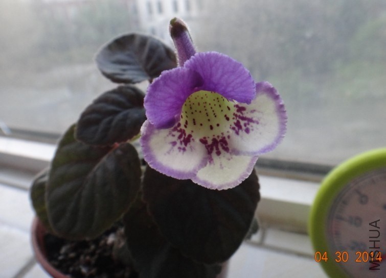 QQͼƬ20140430183731.jpg