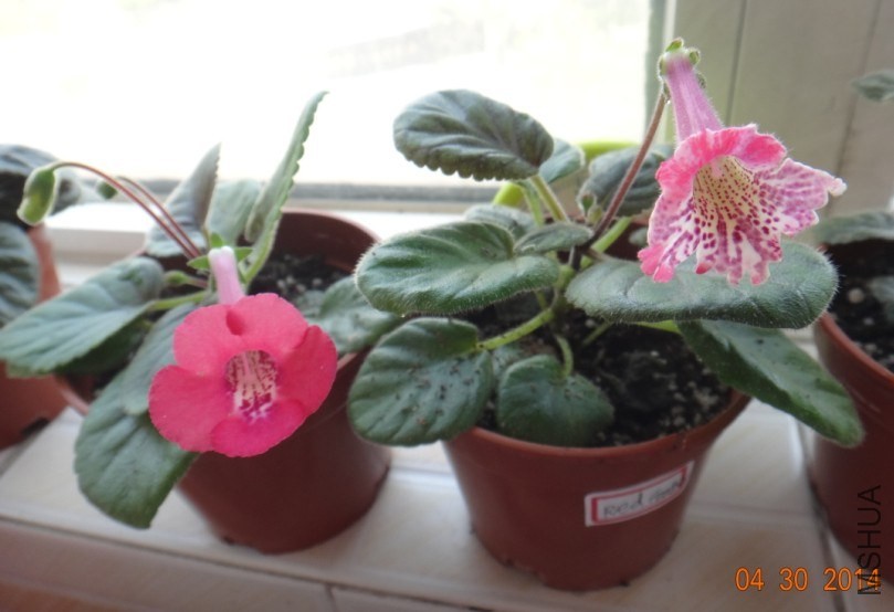 QQͼƬ20140430183831.jpg