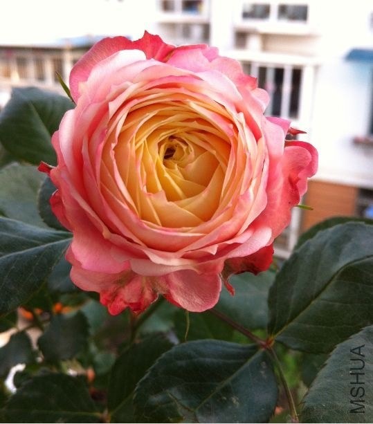 QQͼƬ20140430202107.jpg