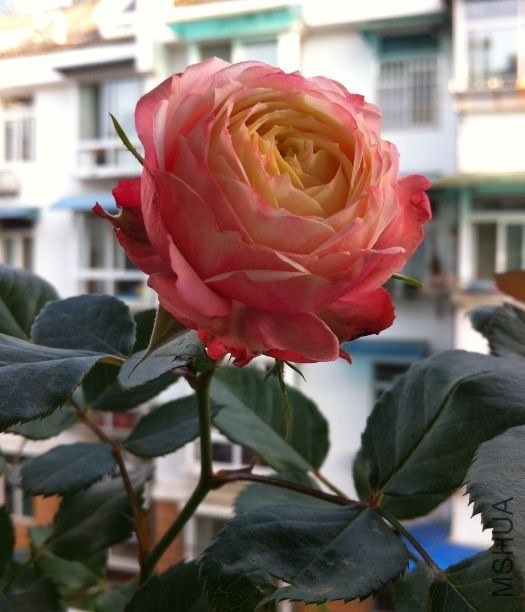 QQͼƬ20140430202121.jpg