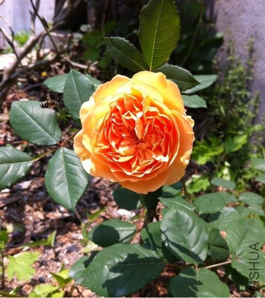 QQͼƬ20140430202127.jpg