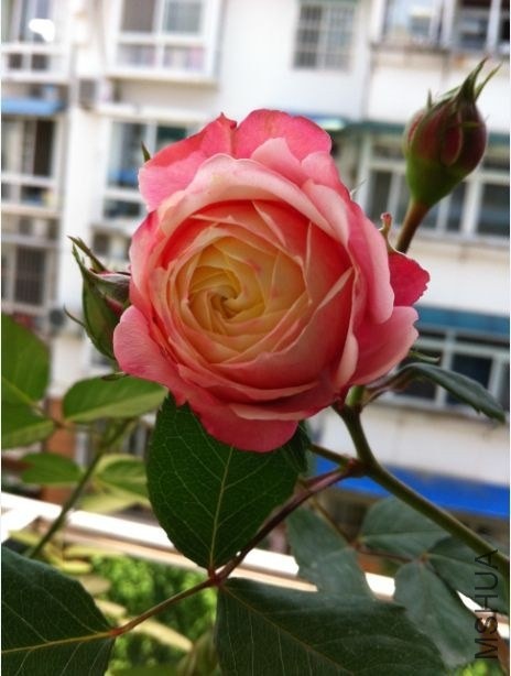 QQͼƬ20140430202140.jpg