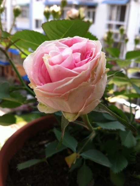 QQͼƬ20140430202143.jpg