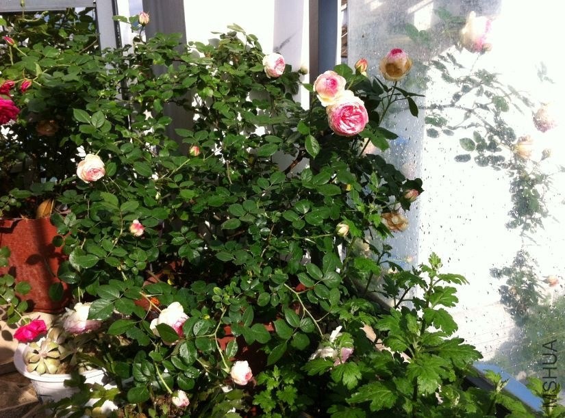 QQͼƬ20140430202151.jpg