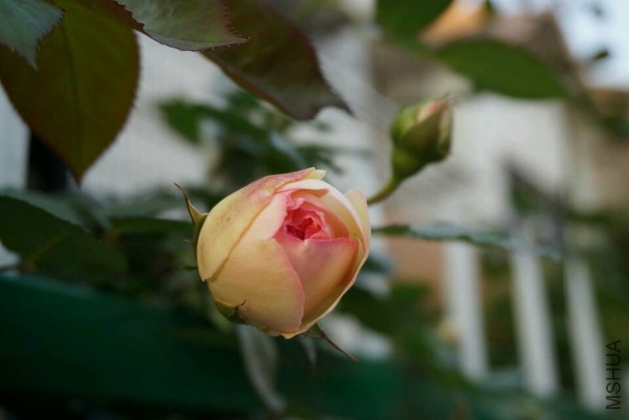 QQͼƬ20140430201053.jpg