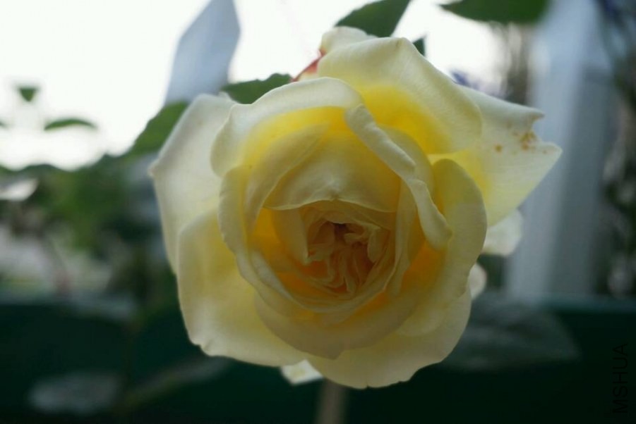 QQͼƬ20140430201102.jpg