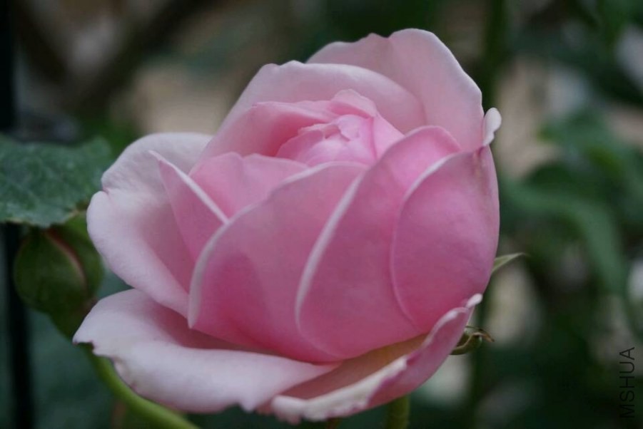 QQͼƬ20140430201110.jpg