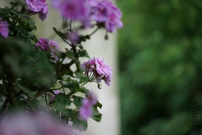 nEO_IMG_DSC00400.jpg