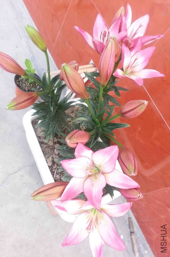 20140501_073007.jpg