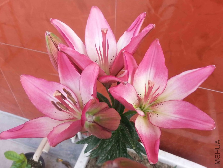 20140501_073013.jpg