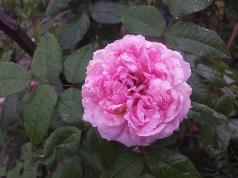 20140428_073351.jpg