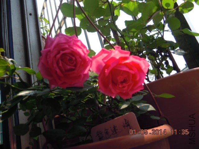 DSCN2587.JPG