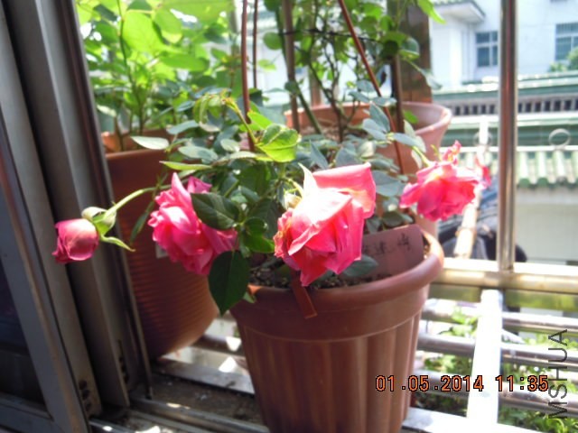 DSCN2584.JPG