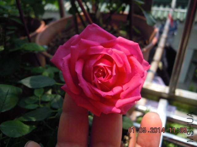 DSCN2585.JPG