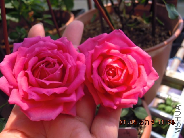 DSCN2586.JPG