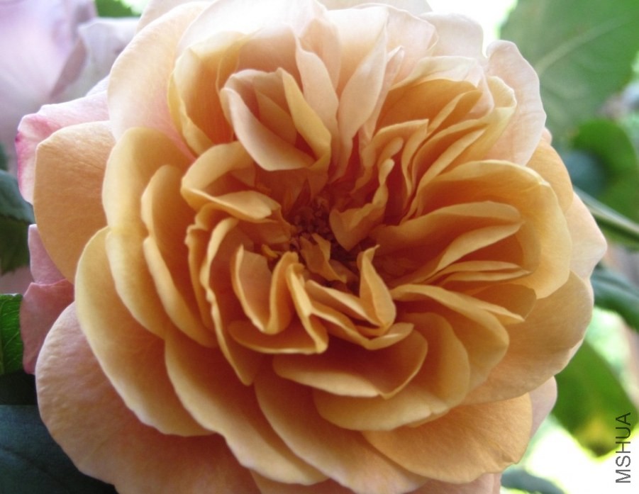 ������������