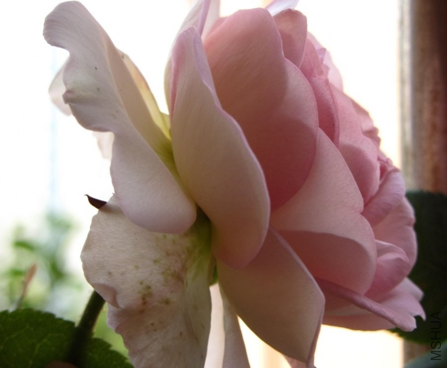 �Ҳ�֪���������ʲô���֣�������