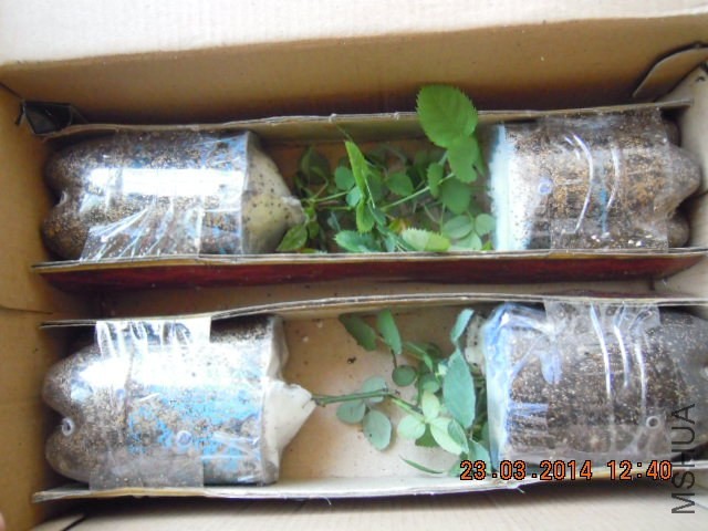 DSCN2425.JPG