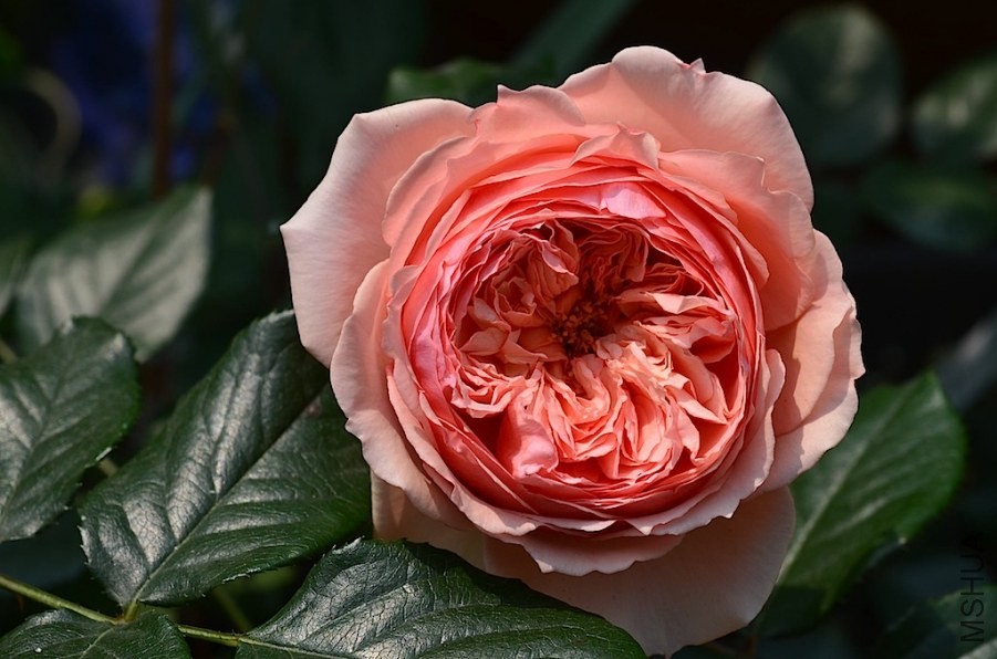 ��������20140501 002.JPG