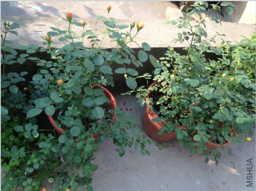 QQ��ͼ20140501164033.jpg