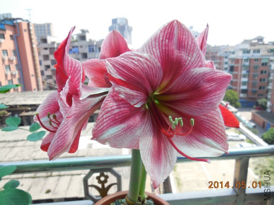 DSCN0438_meitu_1.jpg