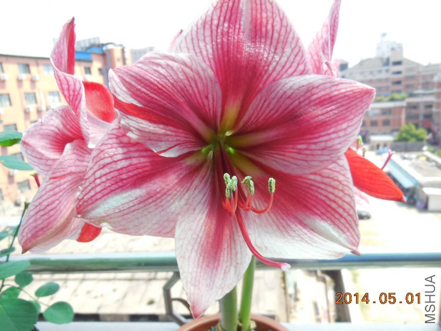 DSCN0440_meitu_3.jpg