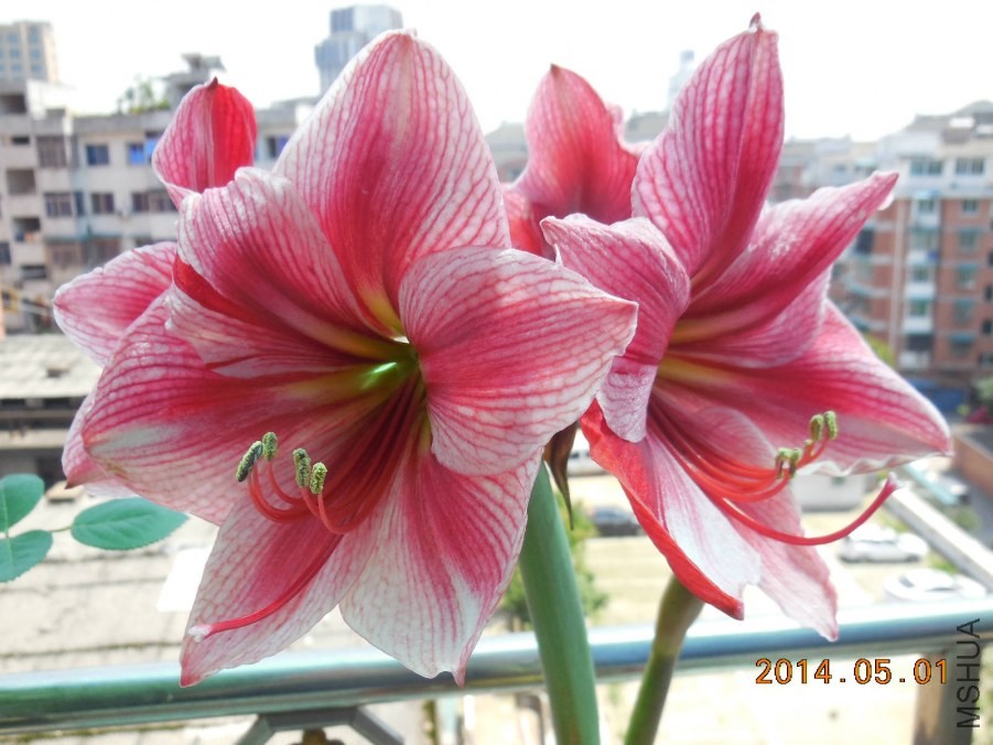 DSCN0441_meitu_4.jpg