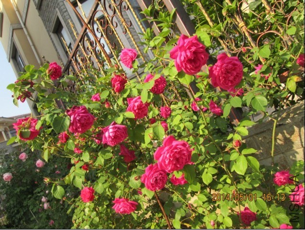 QQͼƬ20140501174206.jpg