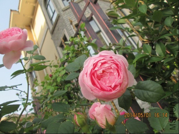 QQͼƬ20140501174223.jpg