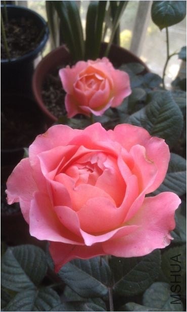 20140501185329890.jpg