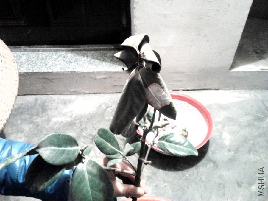 IMG_20140215_184008.jpg