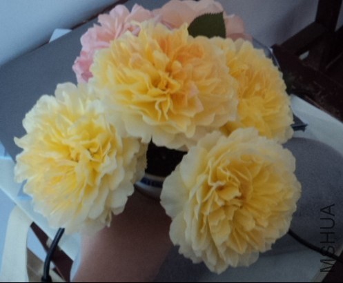 QQͼƬ20140502114222.jpg