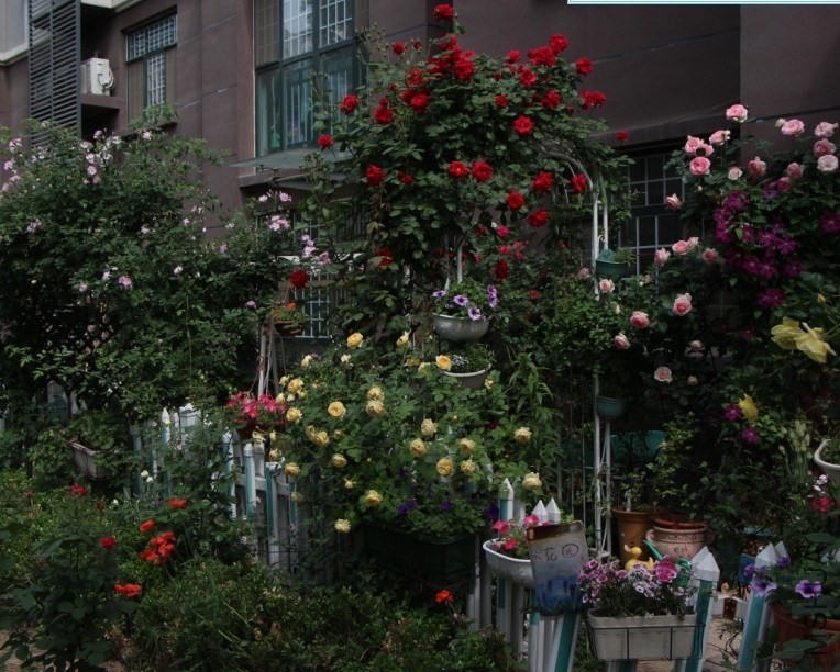 QQͼƬ20140502121521.jpg