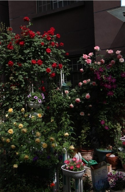 QQͼƬ20140502121451.jpg