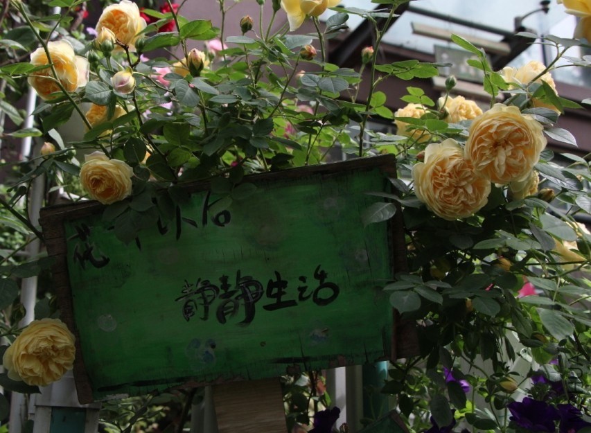 QQͼƬ20140502120045.jpg