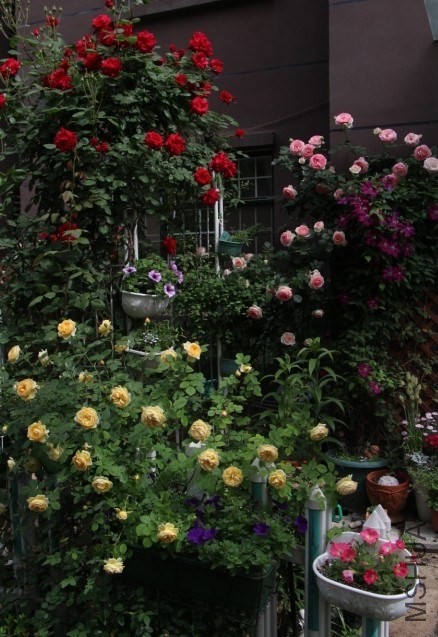 QQͼƬ20140502115916.jpg