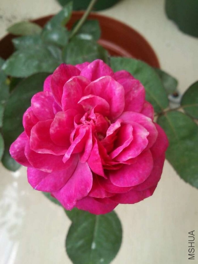 ���ٿ���ķ20140502125730.jpg