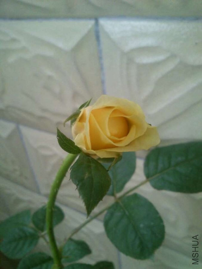 ���20140502125133.jpg